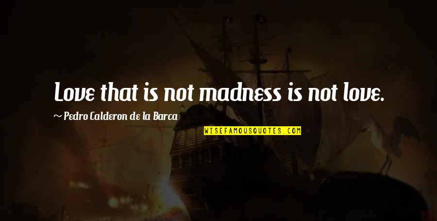 Hermosillo Quotes By Pedro Calderon De La Barca: Love that is not madness is not love.