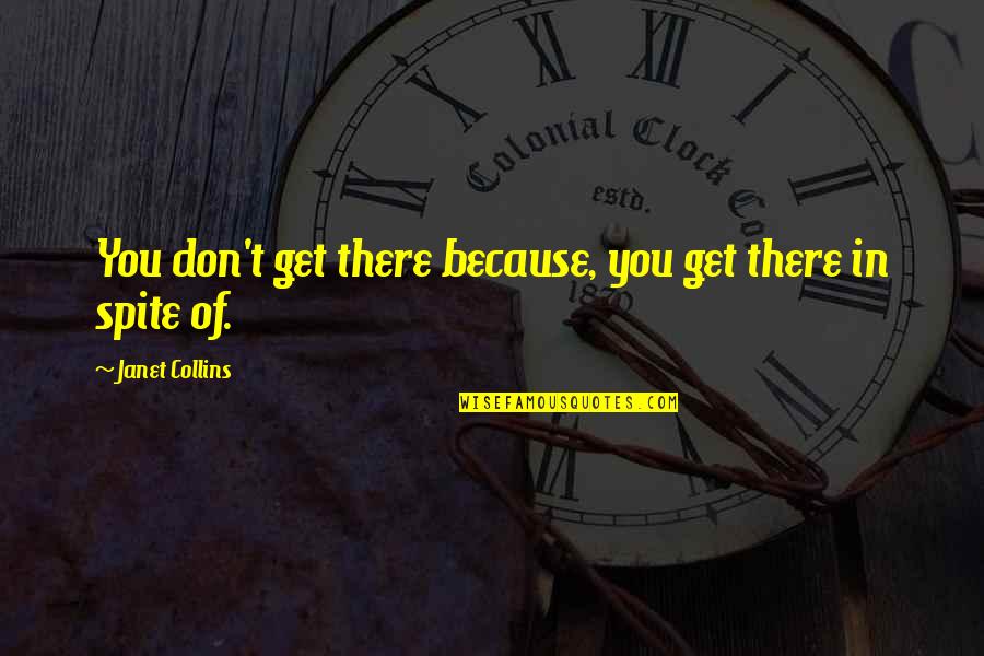 Hermota Quotes By Janet Collins: You don't get there because, you get there