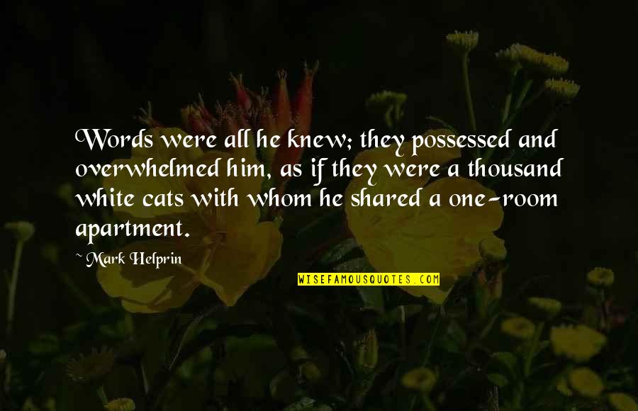 Hernicka Chaloupka Quotes By Mark Helprin: Words were all he knew; they possessed and Hernicka Chaloupka Quotes By Mark Helprin: Words were all he knew; they possessed and