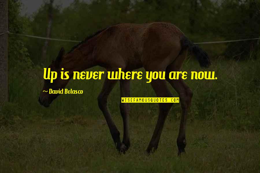 Hero And Sidekick Quotes By David Belasco: Up is never where you are now.