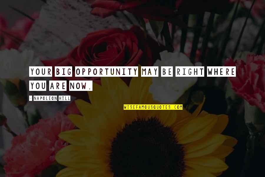 Hero Damage Quotes By Napoleon Hill: Your big opportunity may be right where you