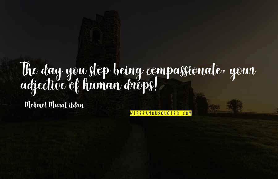 Heroes Elle Bishop Quotes By Mehmet Murat Ildan: The day you stop being compassionate, your adjective