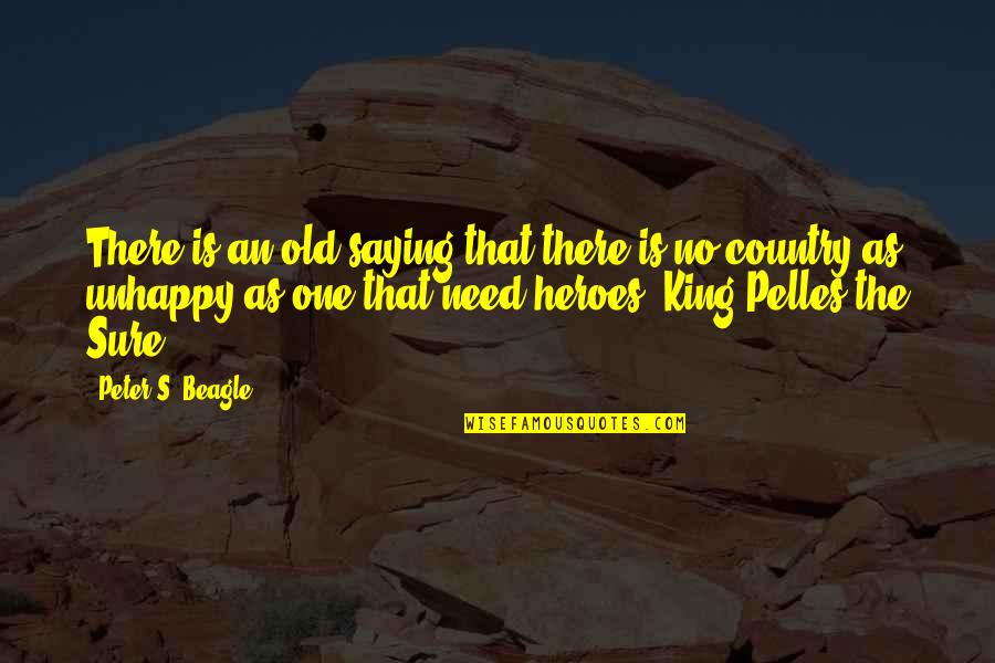 Heroes In War Quotes By Peter S. Beagle: There is an old saying that there is