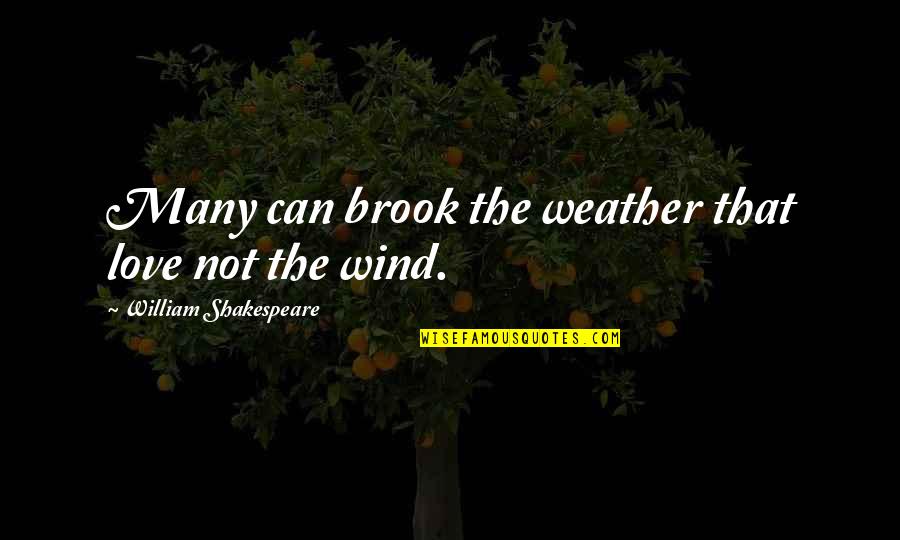 Heroes Serie Quotes By William Shakespeare: Many can brook the weather that love not