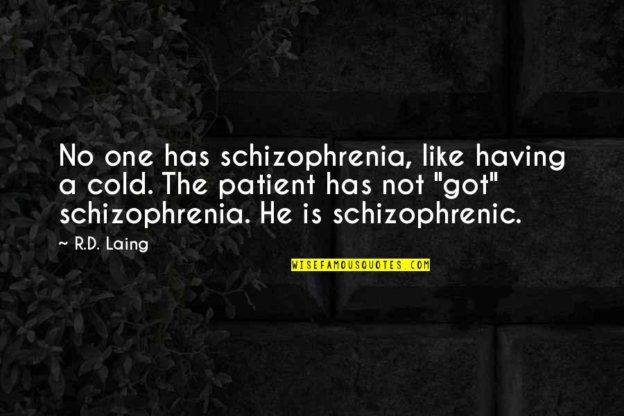 Heroic Soldiers Quotes By R.D. Laing: No one has schizophrenia, like having a cold.