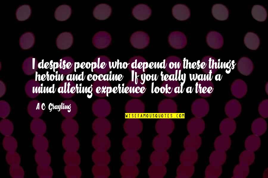 Heroin Quotes By A.C. Grayling: I despise people who depend on these things