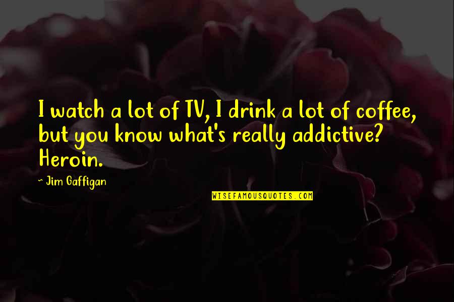 Heroin Quotes By Jim Gaffigan: I watch a lot of TV, I drink