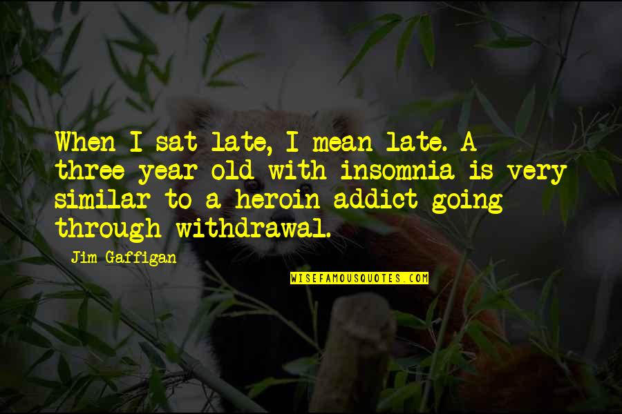 Heroin Withdrawal Quotes By Jim Gaffigan: When I sat late, I mean late. A