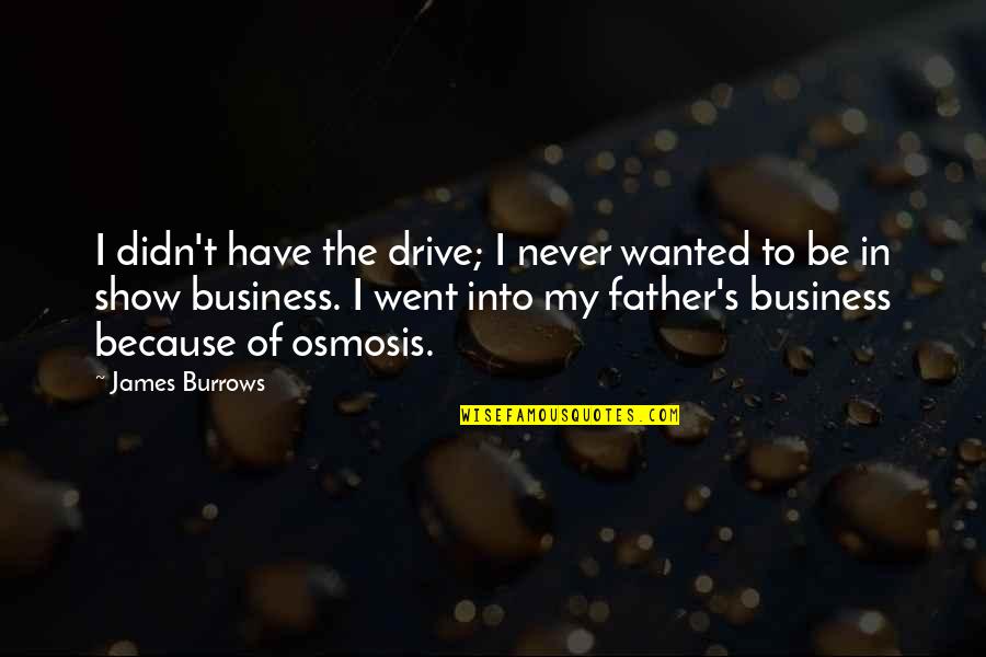 Heroj Ulice Quotes By James Burrows: I didn't have the drive; I never wanted Heroj Ulice Quotes By James Burrows: I didn't have the drive; I never wanted