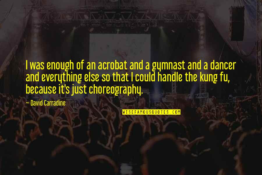 Herr Der Ringe Quotes By David Carradine: I was enough of an acrobat and a Herr Der Ringe Quotes By David Carradine: I was enough of an acrobat and a