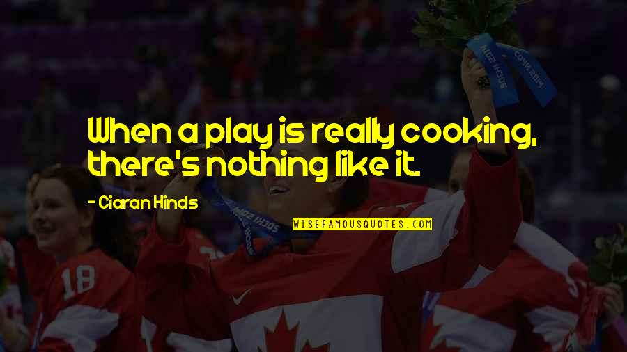 Herramientas De Carpinteria Quotes By Ciaran Hinds: When a play is really cooking, there's nothing Herramientas De Carpinteria Quotes By Ciaran Hinds: When a play is really cooking, there's nothing