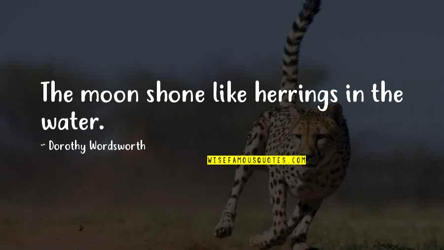 Herrings Quotes By Dorothy Wordsworth: The moon shone like herrings in the water.