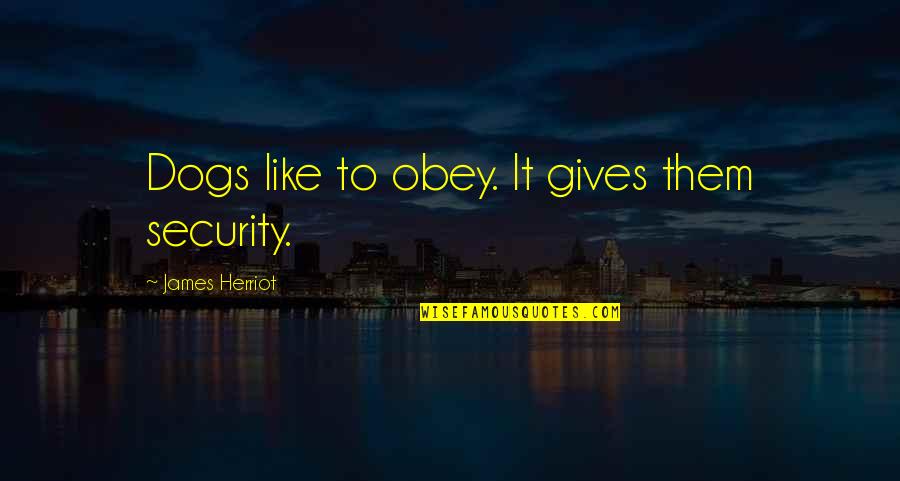 Herriot Quotes By James Herriot: Dogs like to obey. It gives them security.