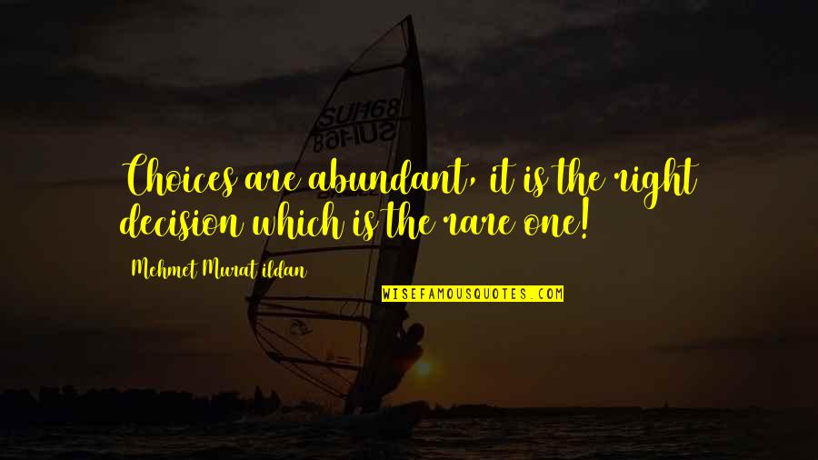 Hersberger M Nchen Quotes By Mehmet Murat Ildan: Choices are abundant, it is the right decision
