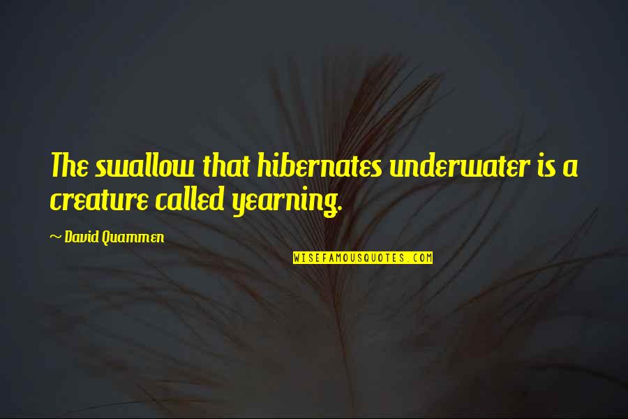 Herskowitz Podiatry Quotes By David Quammen: The swallow that hibernates underwater is a creature