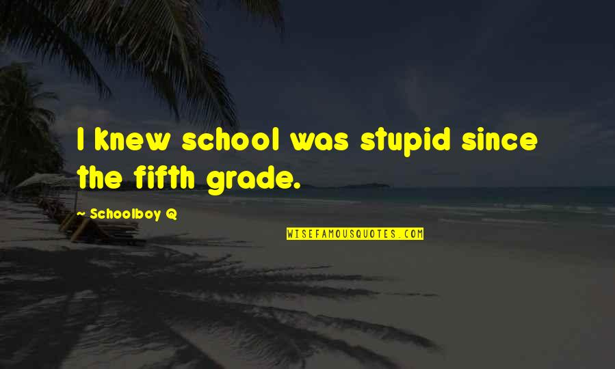 Hertling And Kessler Quotes By Schoolboy Q: I knew school was stupid since the fifth
