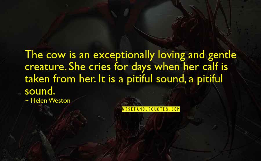 Hertrich Ford Easton Md Quotes By Helen Weston: The cow is an exceptionally loving and gentle