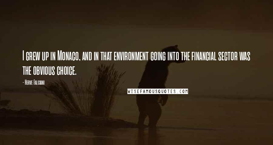 Herve Falciani quotes: I grew up in Monaco, and in that environment going into the financial sector was the obvious choice.