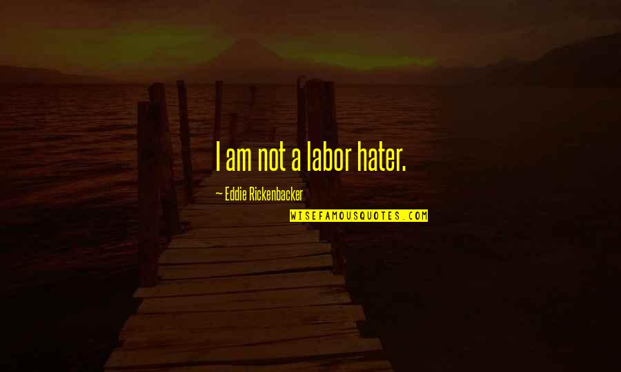 Herzer Pilot Quotes By Eddie Rickenbacker: I am not a labor hater. Herzer Pilot Quotes By Eddie Rickenbacker: I am not a labor hater.