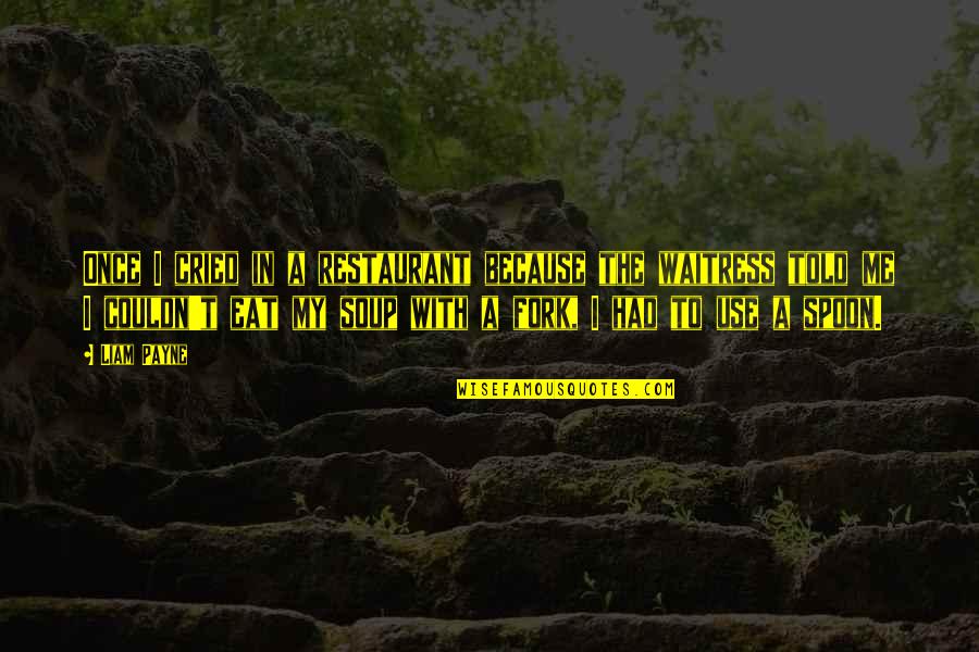 Herzstein Foundation Quotes By Liam Payne: Once I cried in a restaurant because the Herzstein Foundation Quotes By Liam Payne: Once I cried in a restaurant because the