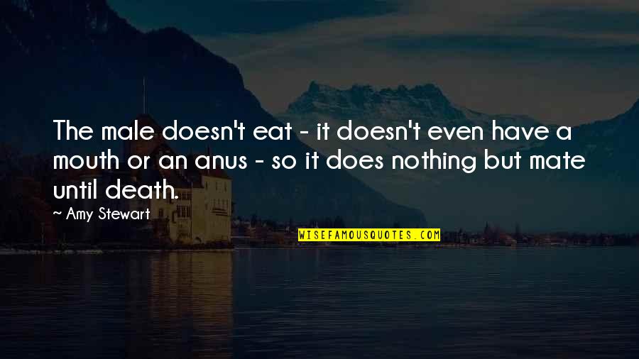 Hes A Man Quotes By Amy Stewart: The male doesn't eat - it doesn't even Hes A Man Quotes By Amy Stewart: The male doesn't eat - it doesn't even