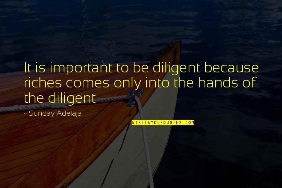 He's Losing Her Quotes By Sunday Adelaja: It is important to be diligent because riches