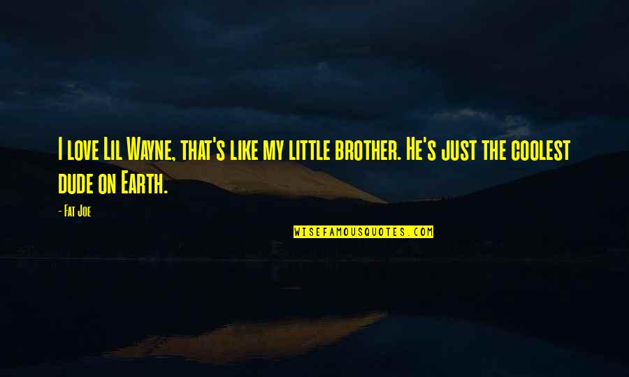 He's My Brother Quotes By Fat Joe: I love Lil Wayne, that's like my little