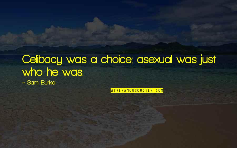 He's My Choice Quotes By Sam Burke: Celibacy was a choice; asexual was just who