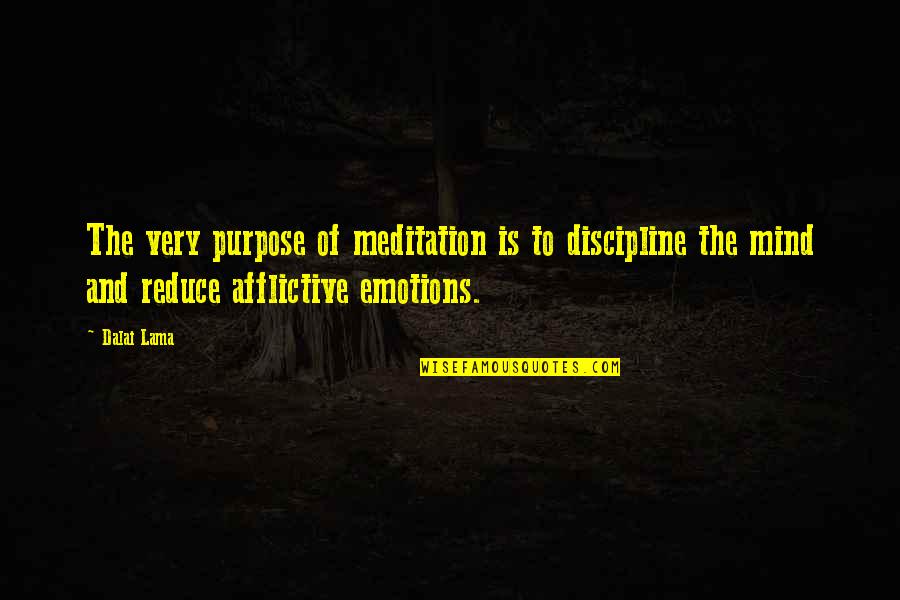 He's Not Texting Me Quotes By Dalai Lama: The very purpose of meditation is to discipline