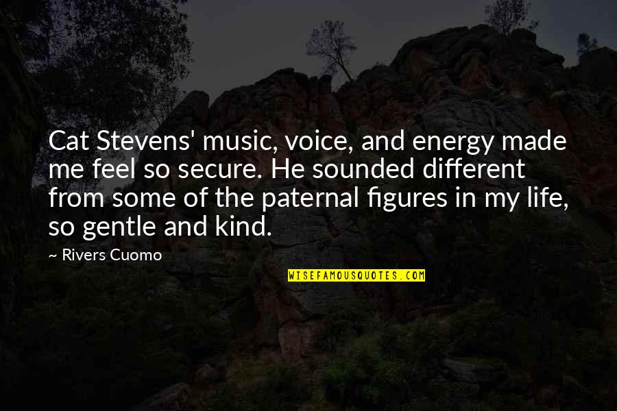 He's So Different Quotes By Rivers Cuomo: Cat Stevens' music, voice, and energy made me