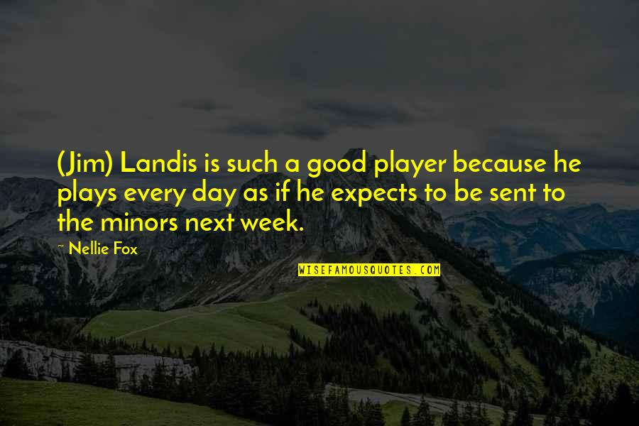 He's Such A Player Quotes By Nellie Fox: (Jim) Landis is such a good player because