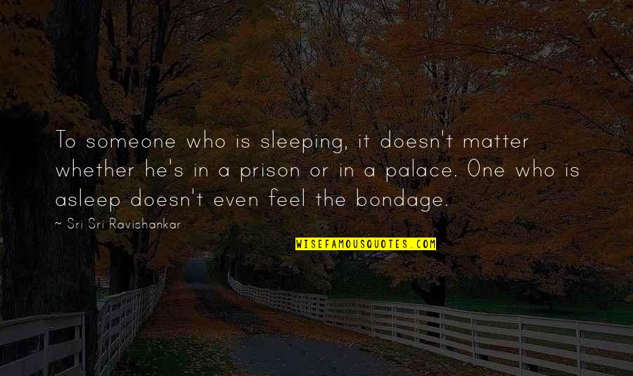 He's The One Who Quotes By Sri Sri Ravishankar: To someone who is sleeping, it doesn't matter
