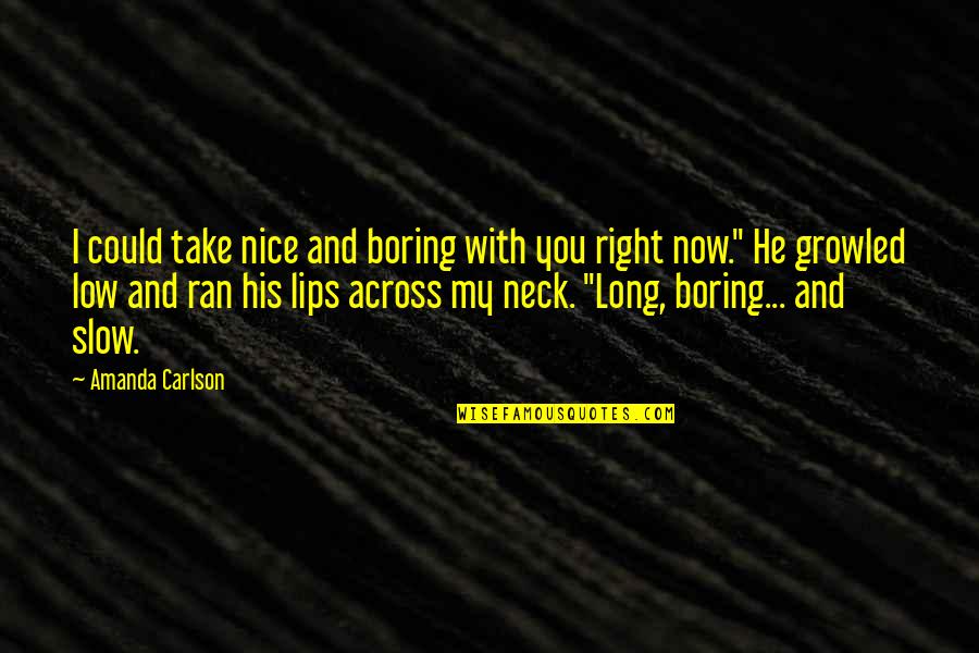 He's Too Nice Quotes By Amanda Carlson: I could take nice and boring with you
