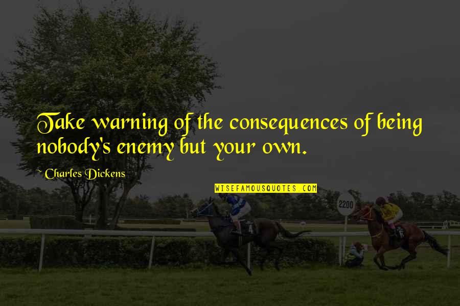 Hesam Hekmatjou Quotes By Charles Dickens: Take warning of the consequences of being nobody's