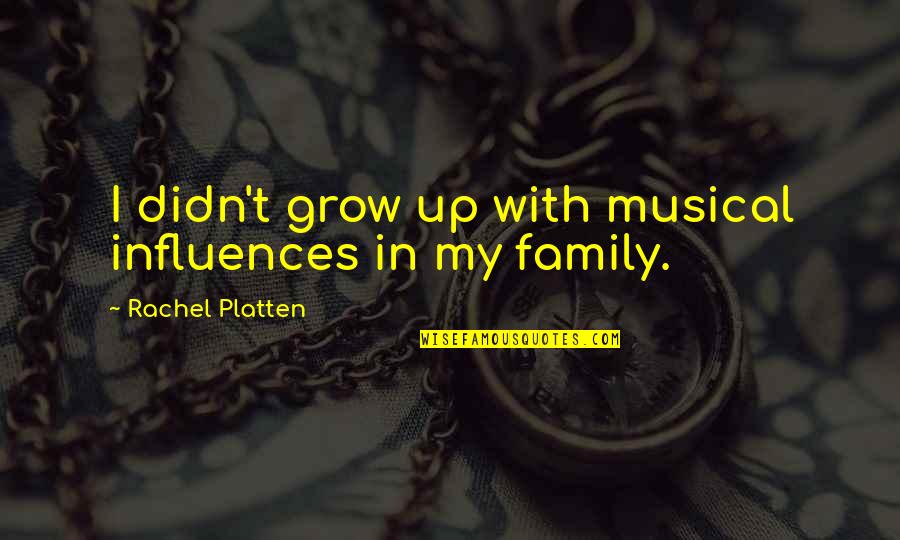 Hesap A Quotes By Rachel Platten: I didn't grow up with musical influences in