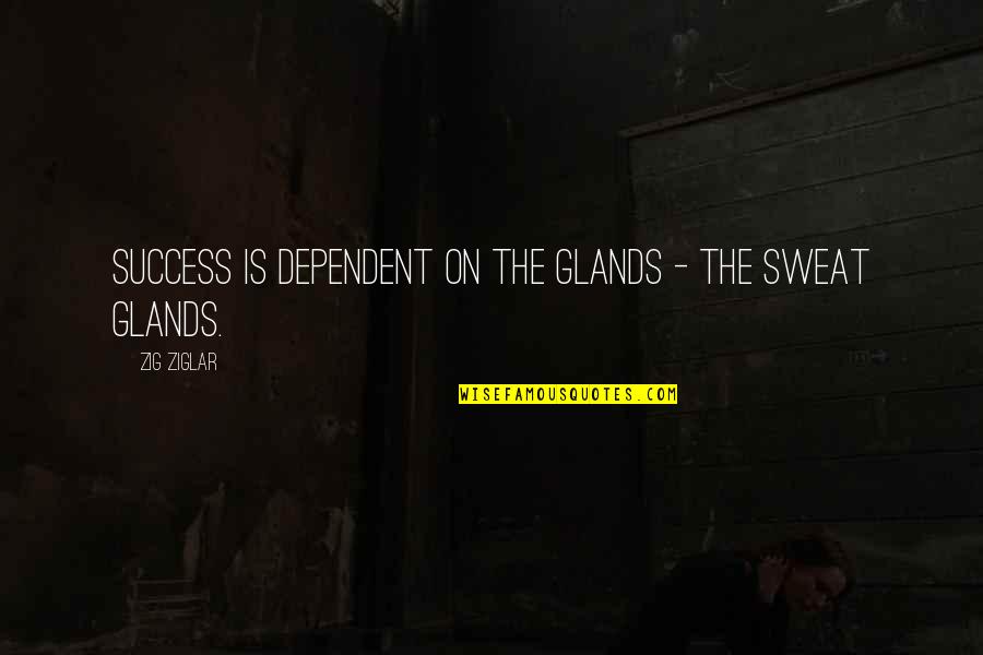 Hesitantly Antonym Quotes By Zig Ziglar: Success is dependent on the glands - the