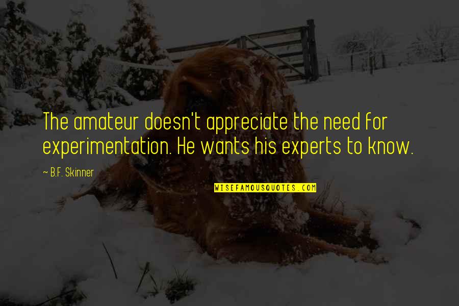 Heslin Holdings Quotes By B.F. Skinner: The amateur doesn't appreciate the need for experimentation. Heslin Holdings Quotes By B.F. Skinner: The amateur doesn't appreciate the need for experimentation.