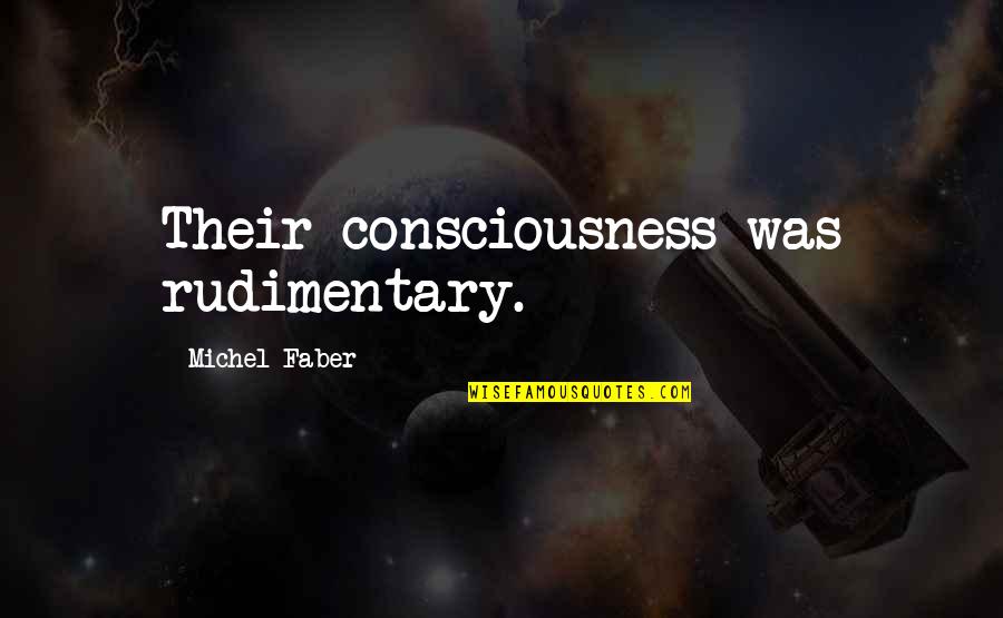 Hessonite Quotes By Michel Faber: Their consciousness was rudimentary. Hessonite Quotes By Michel Faber: Their consciousness was rudimentary.
