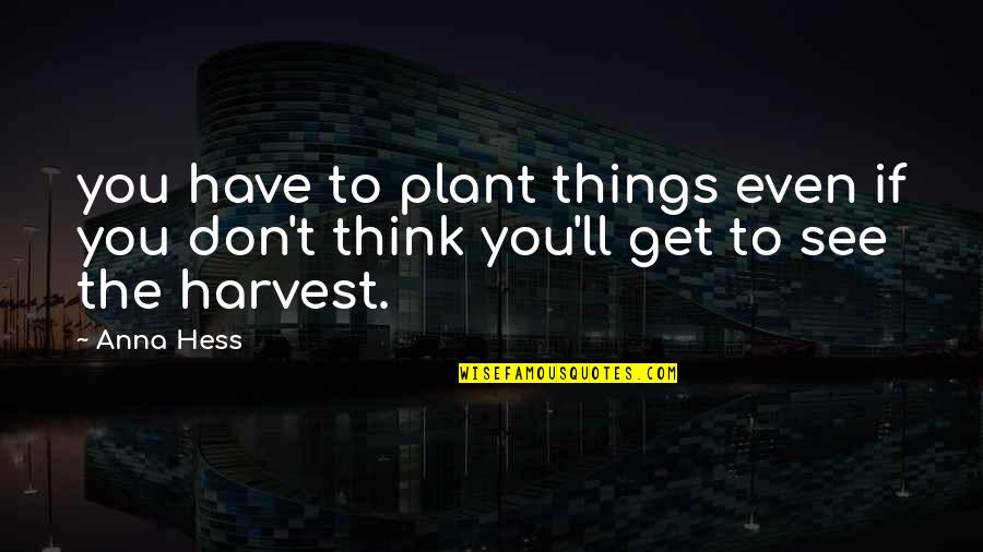Hess's Quotes By Anna Hess: you have to plant things even if you