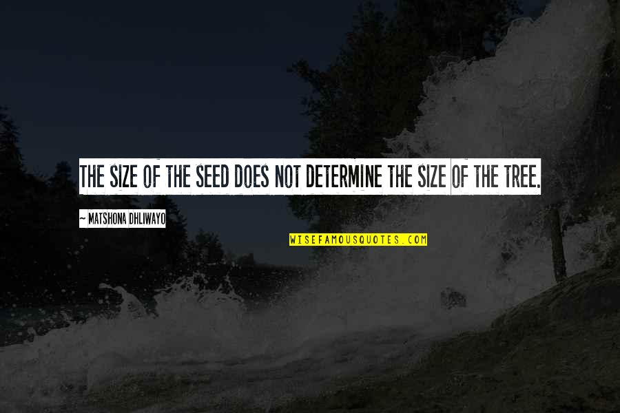Hester Prynne Embroidery Quotes By Matshona Dhliwayo: The size of the seed does not determine
