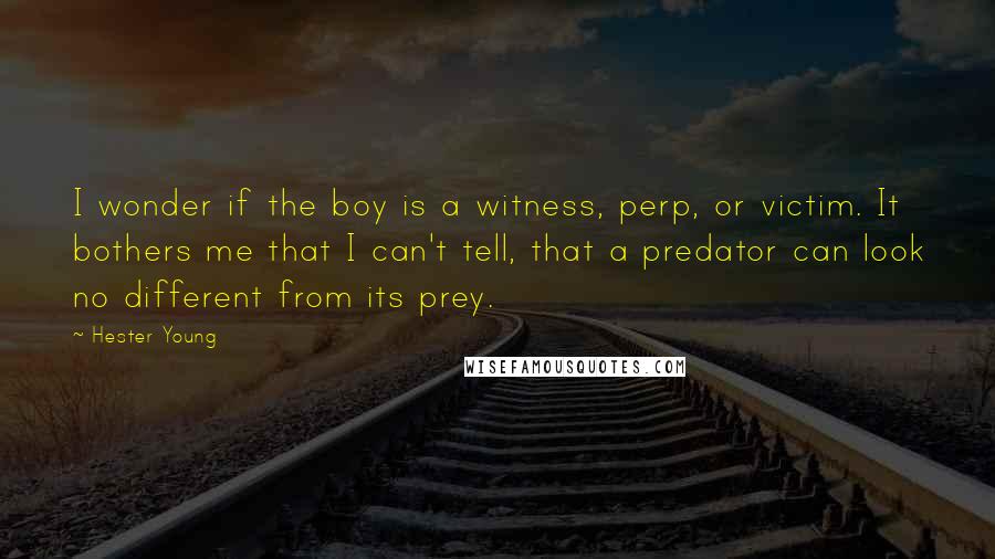 Hester Young quotes: I wonder if the boy is a witness, perp, or victim. It bothers me that I can't tell, that a predator can look no different from its prey.