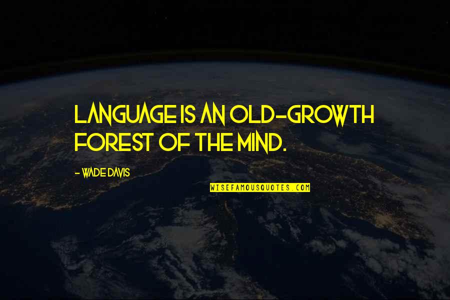 Hester's Suffering Quotes By Wade Davis: Language is an old-growth forest of the mind. Hester's Suffering Quotes By Wade Davis: Language is an old-growth forest of the mind.