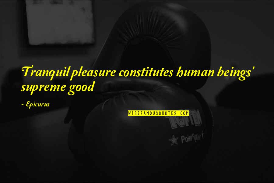 Het Goede Quotes By Epicurus: Tranquil pleasure constitutes human beings' supreme good