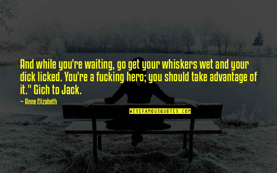 Heteronormative Thinking Quotes By Anne Elizabeth: And while you're waiting, go get your whiskers