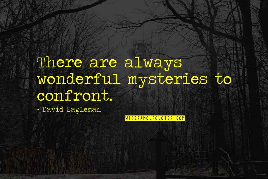 Heure Algerie Quotes By David Eagleman: There are always wonderful mysteries to confront.