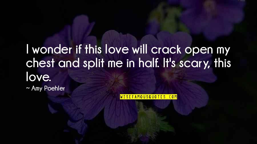 Heureuse Masculine Quotes By Amy Poehler: I wonder if this love will crack open Heureuse Masculine Quotes By Amy Poehler: I wonder if this love will crack open