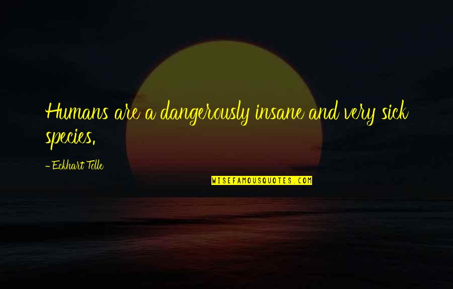 Hevige Pijn Quotes By Eckhart Tolle: Humans are a dangerously insane and very sick Hevige Pijn Quotes By Eckhart Tolle: Humans are a dangerously insane and very sick