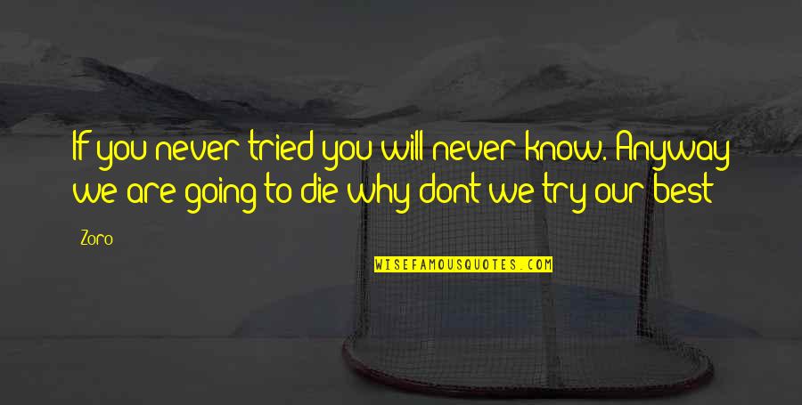 Hey Boo To Kill A Mockingbird Quotes By Zoro: If you never tried you will never know.