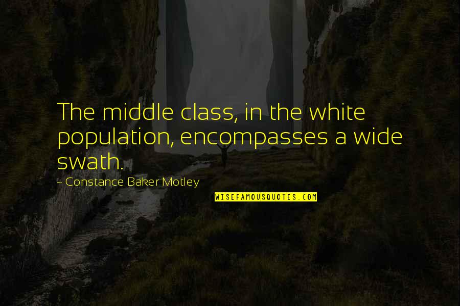 Hey Boy I Like You Quotes By Constance Baker Motley: The middle class, in the white population, encompasses
