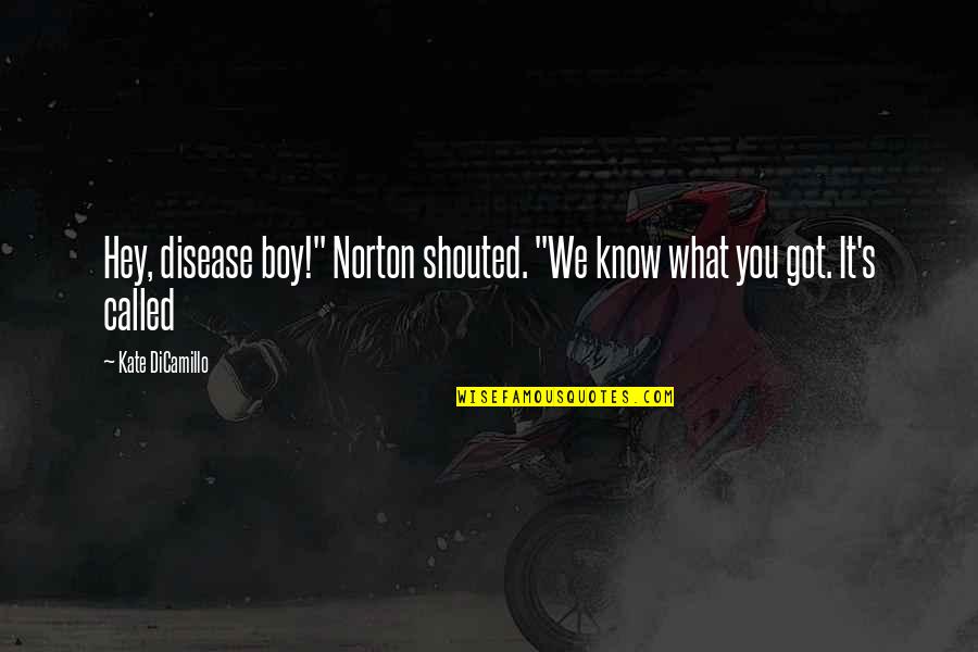 Hey Hey Hey Quotes By Kate DiCamillo: Hey, disease boy!" Norton shouted. "We know what